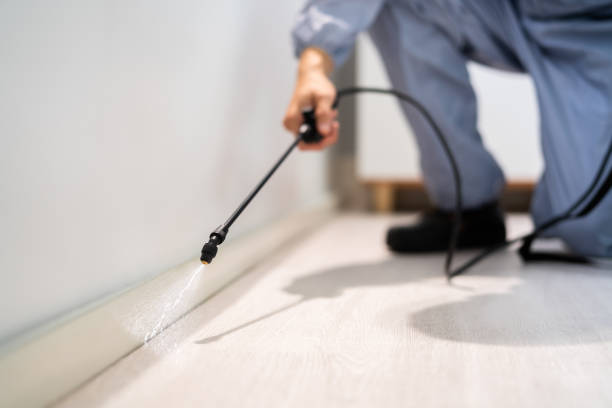 Licensed Pest Control service in St. Peter, MN - Show Me Pest Control