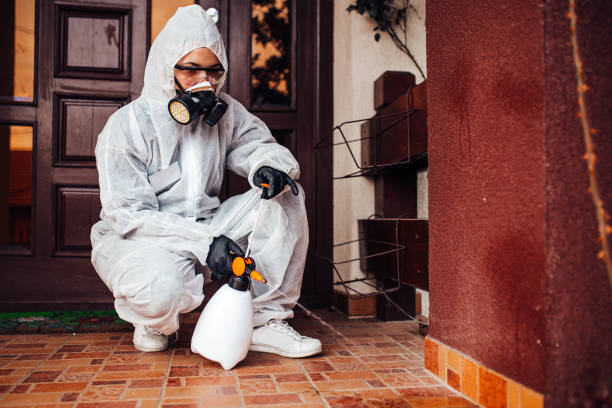 Attic and Crawl Space Rodent Treatment in St. Peter