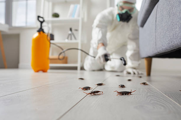 Commercial Rodent Management in St. Peter